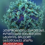 მეორე ანგარიში – კატები იღუპებიან avian influenza-ით | შენი სილამაზე