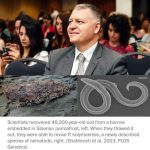 „რეკომენდაცია დედებისთვის – ძუძუთი კვება ამცირებს კიბოს და გულ-სისხლძარღვთა დაავადებების რისკს“ | შენი სილამაზე