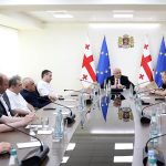 რეპროდუქცია, როგორც სუროგაციის გზით, ისე ინვიტრო განაყოფიერებით, მხოლოდ საქართველოს მოქალაქეებისთვის | შენი სილამაზე