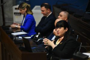 ჯანდაცვის სამინისტროს წარმომადგენლები პარლამენტში რეფერენტული ფასების სისტემის შესახებ