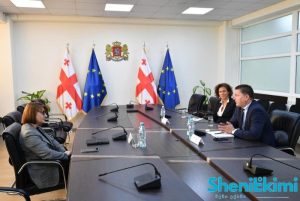 სოციალური დაცვის მინისტრის მოადგილე თამარ ბარკალაია საერთაშორისო შეხვედრაზე