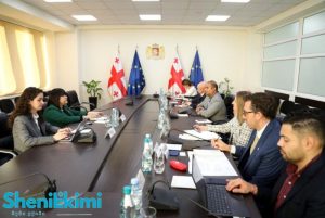 ჯანდაცვის სამინისტროს წარმომადგენლების შეხვედრა CDC-ს წარმომადგენლებთან