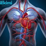 როგორ გავარჩიოთ ალერგიული რინიტი ვირუსულისგან | შენი სილამაზე