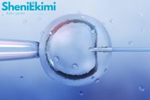 ინოვაციური IVF პროცედურა სამი მშობლის დნმ-ით მიტოქონდრიული დაავადებების პრევენციისთვის