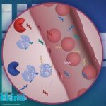 „სახელმწიფო ბიუჯეტიდან 3 მილიარდ 930 მილიონია გამოყოფილი, სახელმწიფოს პრიორიტეტია…“ | შენი სილამაზე