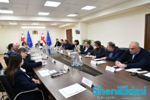 სოციალური პარტნიორობის კომისიის სხდომა შრომის სამინისტროში
