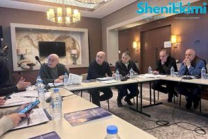 პარლამენტის ჯანმრთელობის დაცვის კომიტეტის სამუშაო შეხვედრა