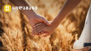 ქართველი ცნობილი წყვილები ოჯახური ბედნიერება