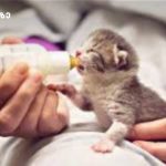 ფილმები, რომლებიც ყველა ქალს აუცილებლად უნდა ქონდეს ნანახი | შენი სილამაზე