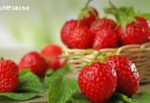 მარწყვი პირდაპირ ბუჩქიდან უნდა მოკრიფოთ. კენკრა ძირს არ უნდა დავარდეს.