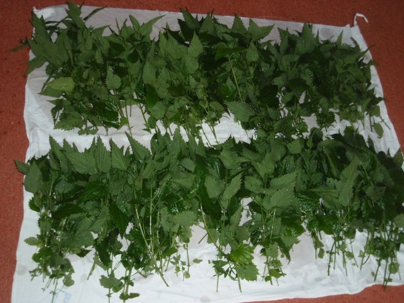 Ð¿Ð¾Ð»ÑÐ·Ð° ÑÐ°Ñ Ð¸Ð· ÐºÑÐ°Ð¿Ð¸Ð²Ñ