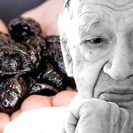 გიჟებივით იზრდებიან. ეს იმიტომ, რომ ფორთოხლის ქერქის გადაყრა შევწყვიტე. | შენი სილამაზე