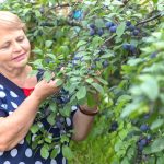 როცა ზედმეტი კილოგრამი მაწუხებს, ჩათუშული კომბოსტოს ამ 7 დღიან დიეტას ვიცავ ხოლმე | შენი სილამაზე
