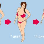 პროპოლისიანი რძე – სუპერსასარგებლო ნაყენი ყველა დაავადებისთვის. ბუნების ორი უნიკალური და უნივერსალური საჩუქარი! | შენი სილამაზე