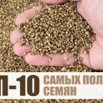 ერთკვირიანი პრაქტიკა გიჩვენებთ თქვენი სხეულის სასიამოვნო ცვლილებებს! 5 ეფექტური პოზა სხეულის კორექციისათვის! | შენი სილამაზე