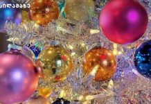 2024 წლის გამორჩეული ნაძვის ხეები