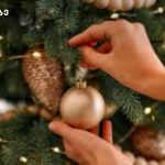 ახალი წლის დღეები და ჯანსაღი კვება | შენი სილამაზე
