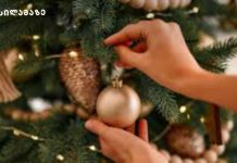 როდის მოვრთოთ ნაძვის ხე