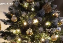 რომელი ნაძვის ხე დავდგათ? ბუნებრივი თუ ხელოვნური