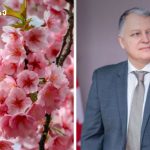 ჰონორარის გარეშე ჩატარებული ურთულესი ოპერაცია და მარიამის ახალი ცხოვრება, რომელსაც მთელი საქართველო გულშემატკივრობს | შენი სილამაზე