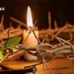Როგორ გავიძლიეროთ იმუნიტეტი? | შენი სილამაზე
