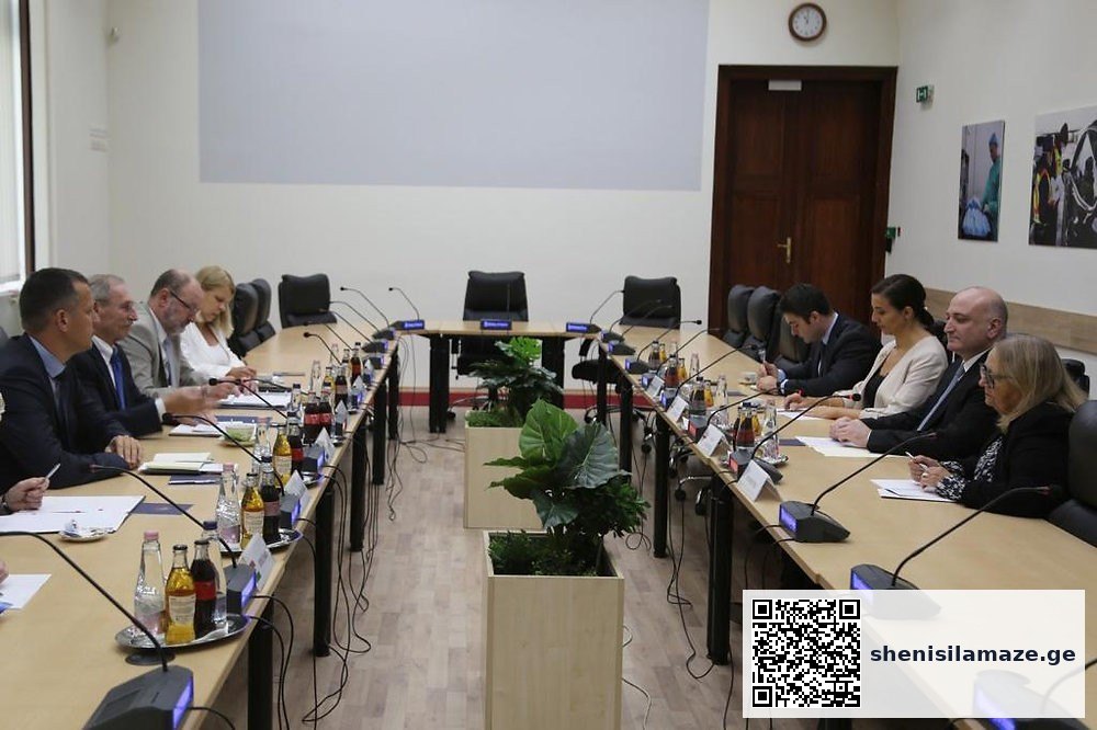 საყოველთაო ჯანდაცვის მოქმედების 10 წლის შედეგებზე ისაუბრეს | შენი სილამაზე