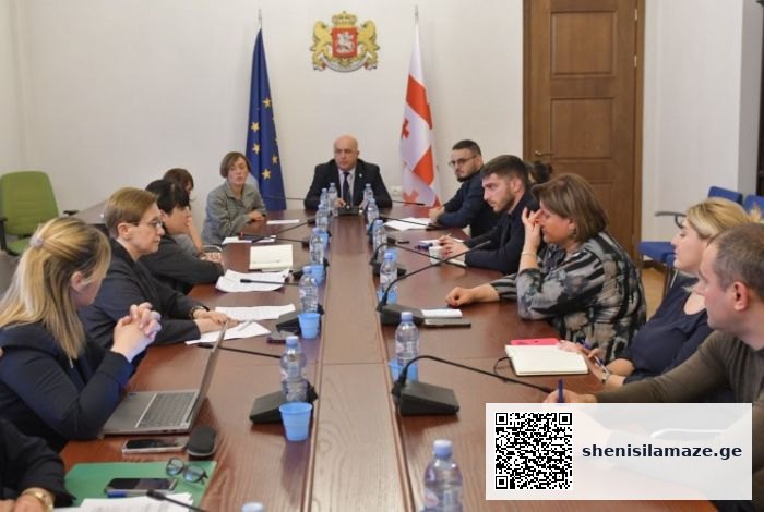 საქართველოში ფსიქიკური ჯანმრთელობის სერვისებზე ხელმისაწვდომობის საკითხზე შეხვედრა გაიმართა | შენი სილამაზე