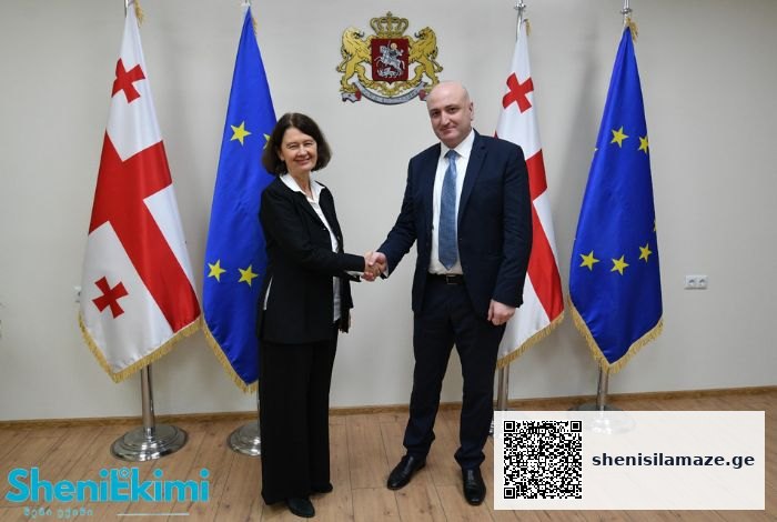 შრომის უსაფრთხოებისა და შრომითი უფლებების დაცვის კუთხით, ქვეყანაში განხორციელებული და მიმდინარე რეფორმები დადებითად შეფასდა | შენი სილამაზე
