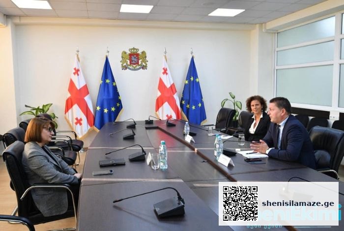 სოციალური დაცვის მიმართულებით არსებული მნიშვნელოვანი პროექტები და გამოწვევები | შენი სილამაზე