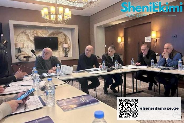 „საქართველოში ფსიქიკური ჯანმრთელობის სერვისების ხელმისაწვდომობისა და არსებული გამოწვევები“ | შენი სილამაზე