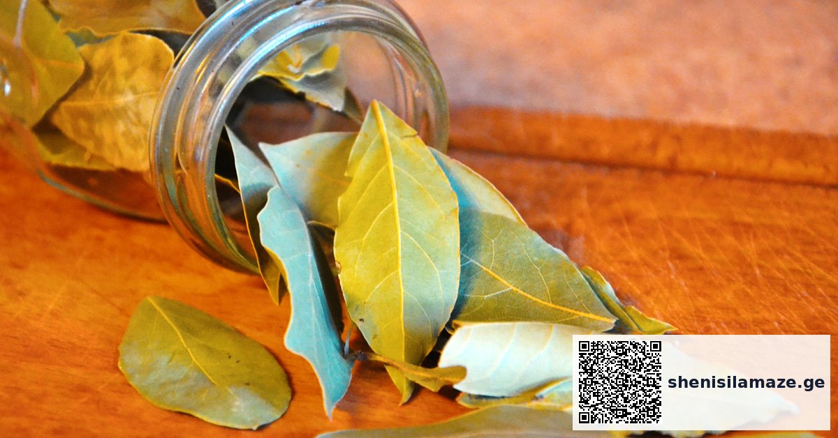 ძველი ბერძნები წვავდნენ დაფნის ფოთლებს და ასე აქრობდნენ უსიამოვნო სუნს. გაიგეთ, კიდევ რა საოცარი თვისებები აქვს ამ პოპულარულ სანელებელს. | შენი სილამაზე